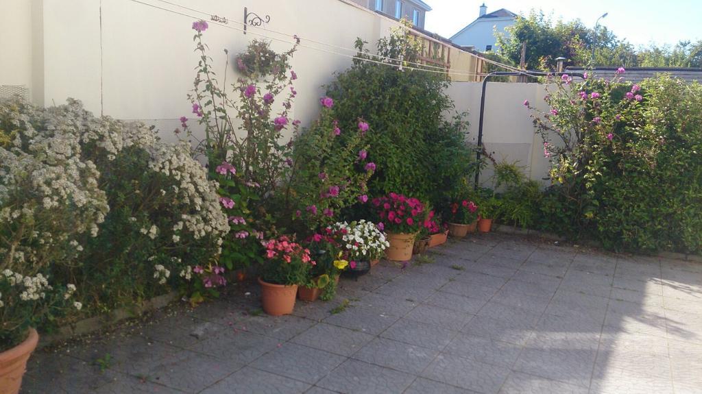 Seashore Lodge Guesthouse Голуэй Номер фото